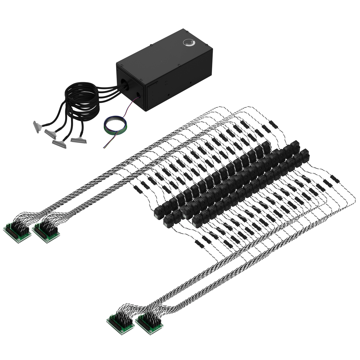 BGP64 with harnesses perspective.png