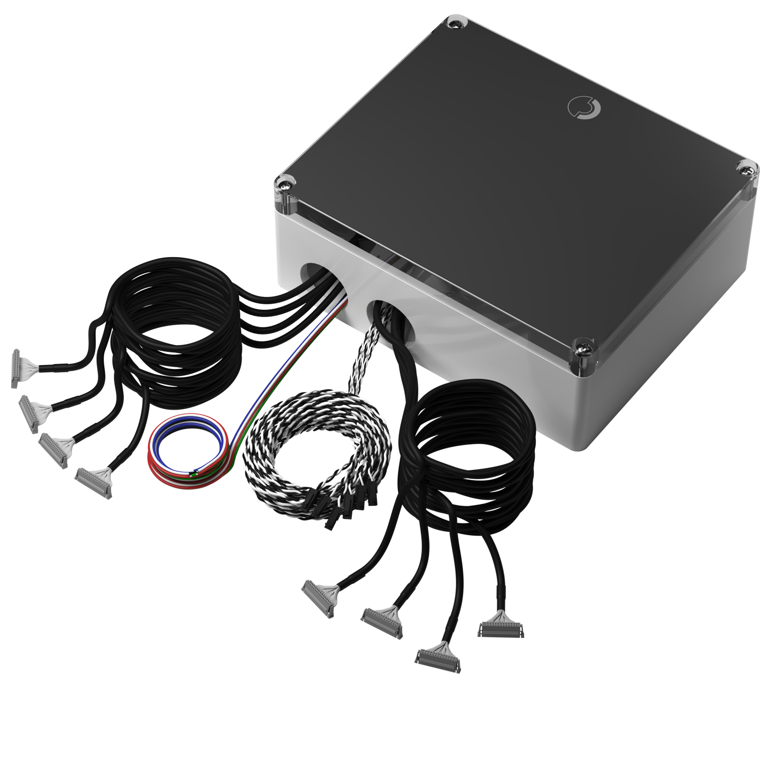 BGP198 perspective.png