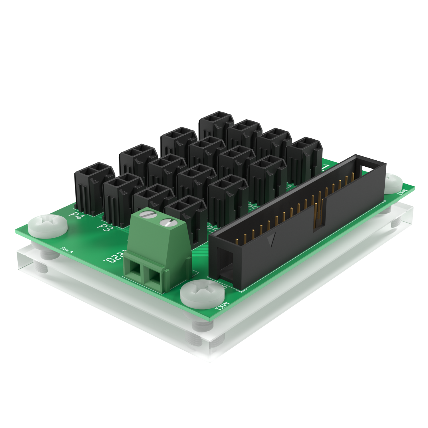 AMP16 perspective.png